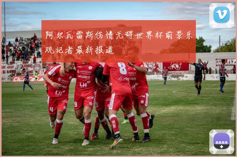 阿尔瓦雷斯伤情无碍世界杯前景乐观记者最新报道