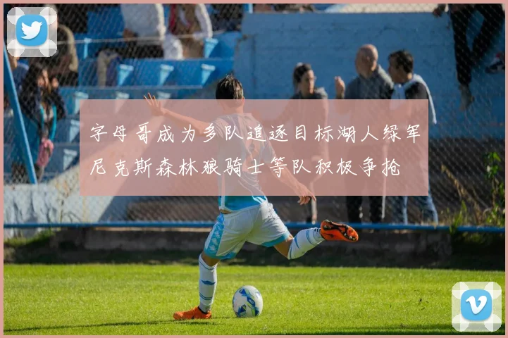 字母哥成为多队追逐目标湖人绿军尼克斯森林狼骑士等队积极争抢